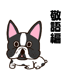 French bulldog Japanese