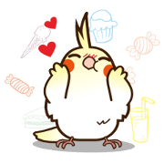 Miss Lovebird-Cockatiel 's home life Miss Lovebird-Cockatiel 's home life