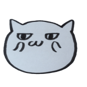 Daily of a white Cat The second