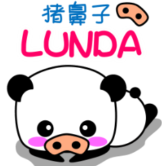 Pig-nose Lunda[Taiwan Operations]