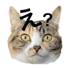 nozomi_20200414101031