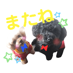 SAYURI_20200414093527