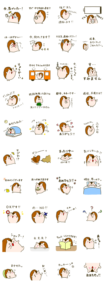 Funny Squirrel Jun 5