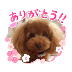 mina_20200414124554