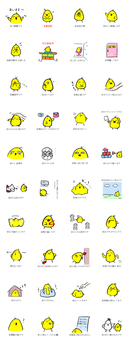 My Instruction manual