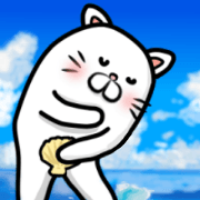 Summer vacation of cat