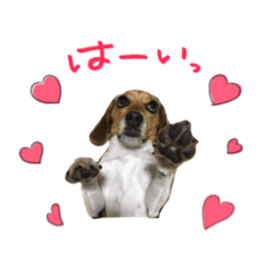 mizuki_20200414142550