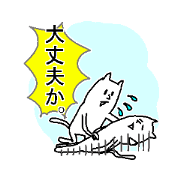 They are like a cat.2 They are like a cat.2