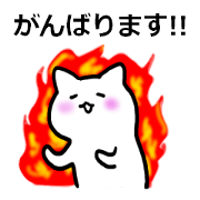 Cat to the adult response.