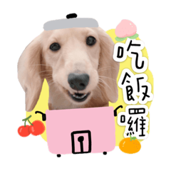 Daisy少女心特輯