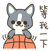 Little black-Corgi-dog(Taiwan) Little black-Corgi-dog(Taiwan)