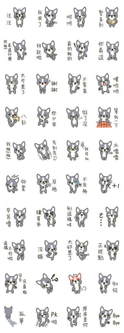 Little black-Corgi-dog(Taiwan) Little black-Corgi-dog(Taiwan)