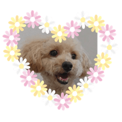 ayumi_20200414182020