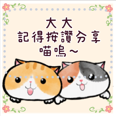 Cute Cat-Message Stickers