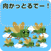 THE grasshopper