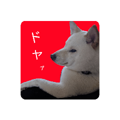Hana_20200414222838