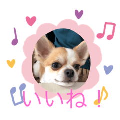 バロンとくるみ