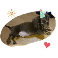 arisa_20200409211715