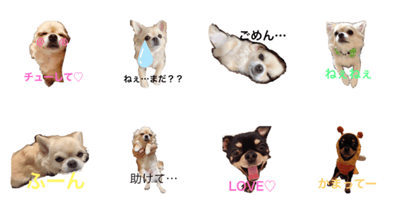 チワワloveスタンプ Lineクリエイターズスタンプ Stamplist