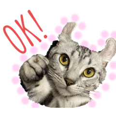 kanae_20200415033216