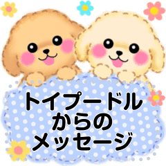 かわいいトイプードルのメッセージスタンプ Line スタンプ Line Store