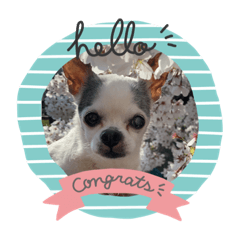 Sally_20200415021206