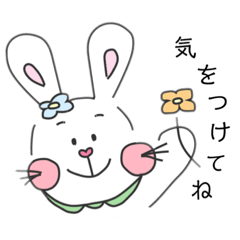 White Rabbit  Daily Conversation