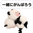 パンダ 人気 Line クリエイターズスタンプ Line Store パンダ 人気 Line クリエイターズスタンプ Line Store
