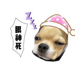 傻眼哈比