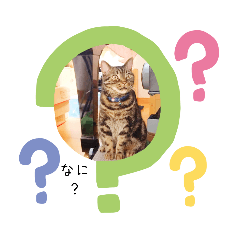 Mizuki_20200415083529