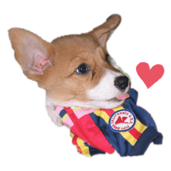 Mary_202004151558252