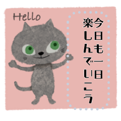Hello Hello Hello Cats