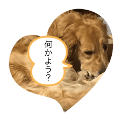 ゆきとラブとさち