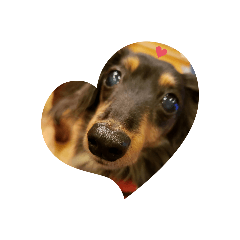 Soraso_20200415160808