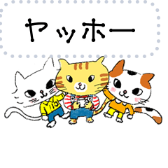 Message sticker of three kittens