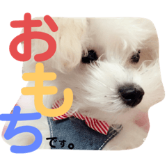 omochi_20200415171654