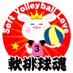 Soft Volleyball Love