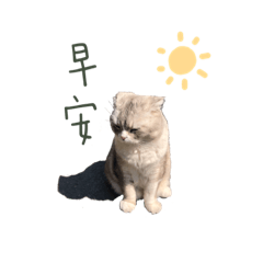 小咪與小黑正式出道