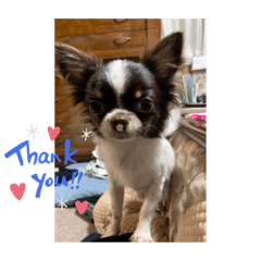 yuinanohara_20040822123