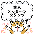 柴犬さんのツボ Vol 5 オトナの気づかい編 Line スタンプ Line Store