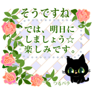 Small, obliging, black cat 12