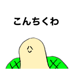 kamekun(turtle)