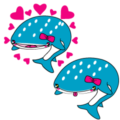 Cutie Whale shark