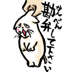 関西弁のネコさん