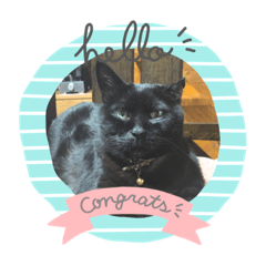 orange_20200410224737