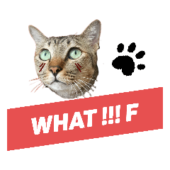 Sun Kalchanok_20200410074114