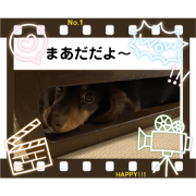 hirokoroko_20200412011048