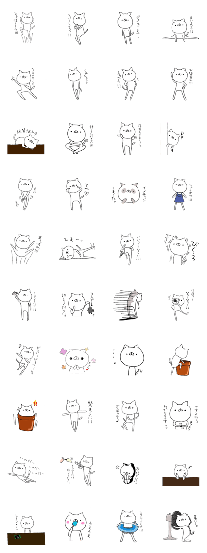 Mr. white cat.