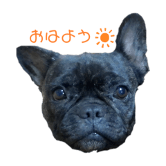 AOI_20200411123752
