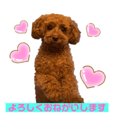 yun_20200416091111